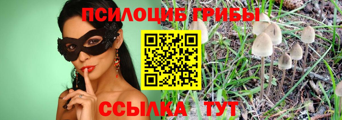 Галлюциногенные грибы GOLDEN TEACHER Видное
