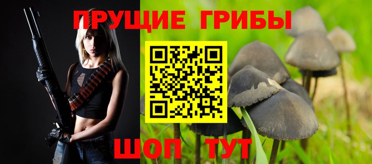 Видное  Псилоцибиновые грибы Cubensis  Галлюциногенные грибы Magic Shrooms  Вход с VPN 